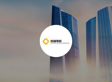 宁波北仑恒丰电机制造有限公司